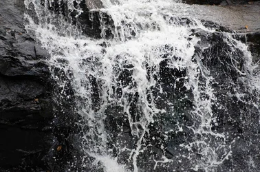 $Blackwater Falls 16.webp