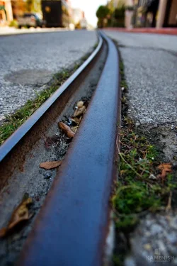 $tracks.webp