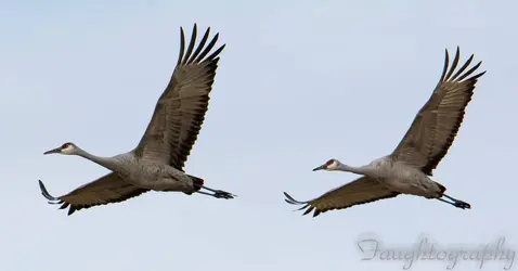 IMG_20191218_091515_324.webp