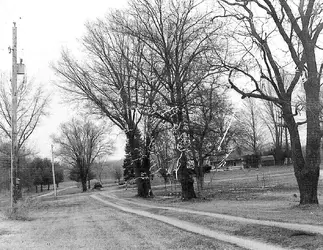 TLR TP the drive.jpg TLR TP the drive.jpg