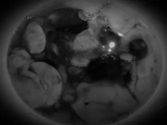 P4300007_Ed.webp