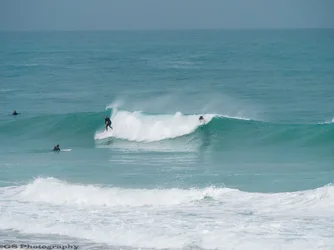 surfer3.webp surfer3.webp