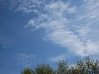 P1000208-1600-C1.webp