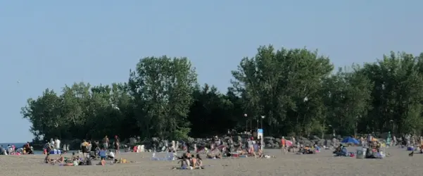 02-0267-20h17m42s153d-Crp2-C1.webp