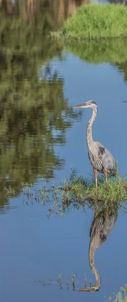 101-GBH-double-reflection-cvt-fn (2).webp 101-GBH-double-reflection-cvt-fn (2).webp