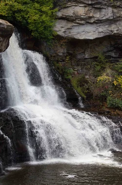 $Blackwater Falls 06.webp
