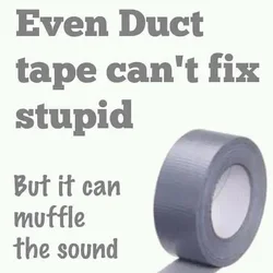 $duct tape stupid.webp