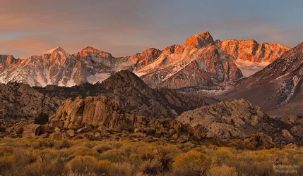 $Buttermilk Sunrise.webp $Buttermilk Sunrise.webp