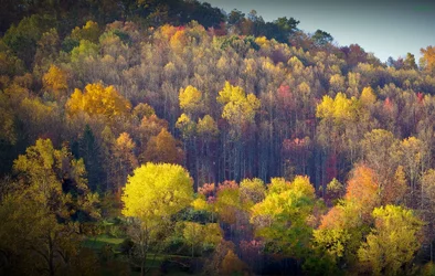 $fall scene from NM.small.webp
