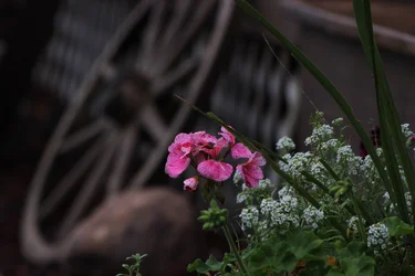 $IMG_0711.webp $IMG_0711.webp