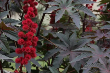 $IMG_0544.webp $IMG_0544.webp