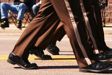 $autumn glory parade 048 (2).webp $autumn glory parade 048 (2).webp