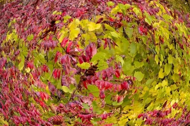 $_CSC0124.webp