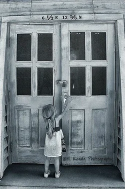 $Let me in.webp