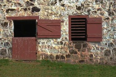 $Windows-and-a-door-2lll.webp