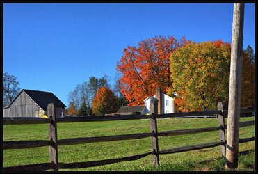 $2012 Fall Colors #8-Hillendale Road, Chester Co. PA.jpg