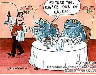 $fish.webp