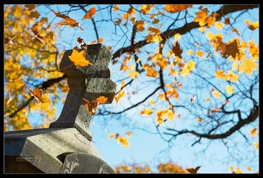 $Concord Cemetery - 148_flipped.webp