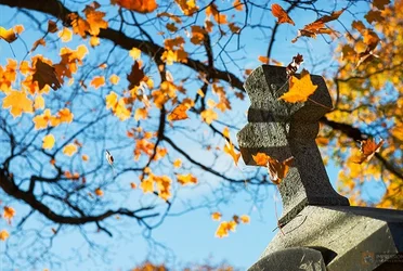 $Concord Cemetery - 148 copy_edited.webp