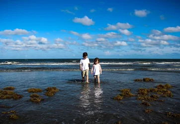 $Kids on the Beach 070.webp