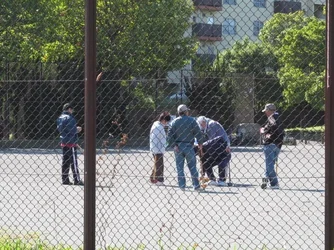 $IMG_0713.webp $IMG_0713.webp