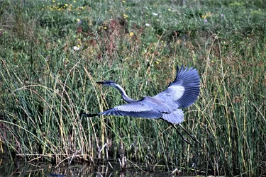 DSC_0876 (2).webp