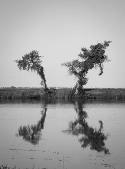 Lake Landscape-22-Edit.jpg