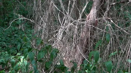 02b-100mb-04-Standard-20h51m55s002-Crop1820.webp