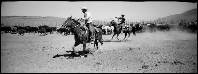 062212#1(Roping).webp