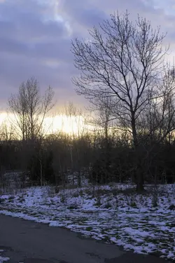 V3N00350a-rsz1280-C3.webp