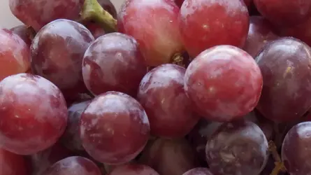 P3260013b-Crop1920-C1.webp