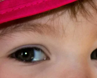 $IMG_0931lll.webp