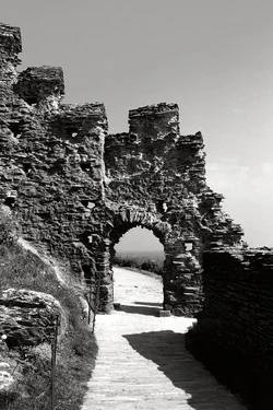 $5_1_bw.webp