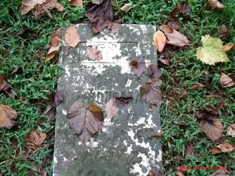 $Tombstone.webp