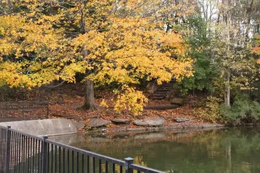 $IMG_0125 resize.webp
