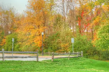 $park resize.webp