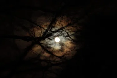 $eye_s_0322.webp