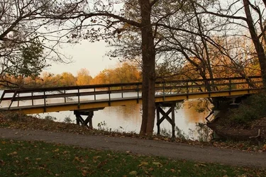 $IMG_0151 resized.webp