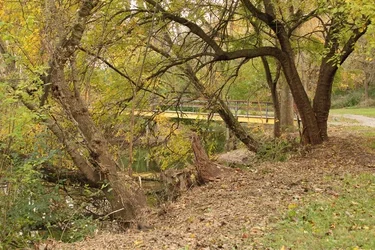 $IMG_0150 resized.webp