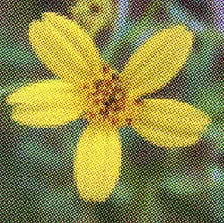 $half-tone flower.webp $half-tone flower.webp