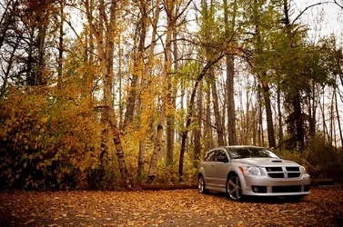 $SRT4.webp