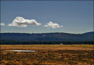 $oregon.webp