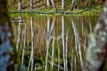 $_D3X8651_ Oct 31 2012.webp $_D3X8651_ Oct 31 2012.webp