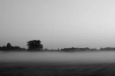 $cmw3_d40_turf_farm.webp