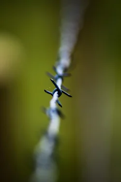 $Barbed Wire.webp