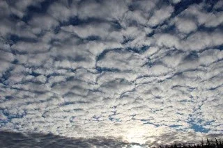 $IMG_0409.webp