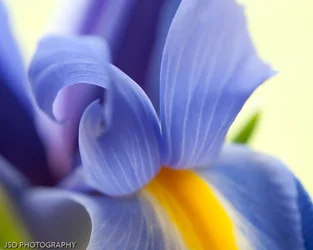 $_DSC4645.webp