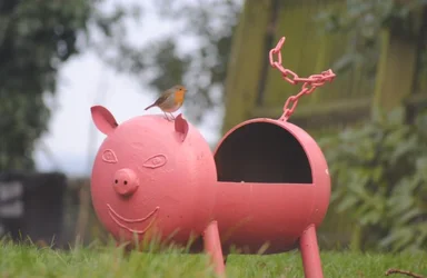 $pig.webp