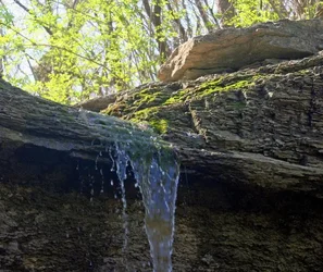 $waterfall3 (resized).webp