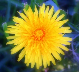 $IMG_7895.webp